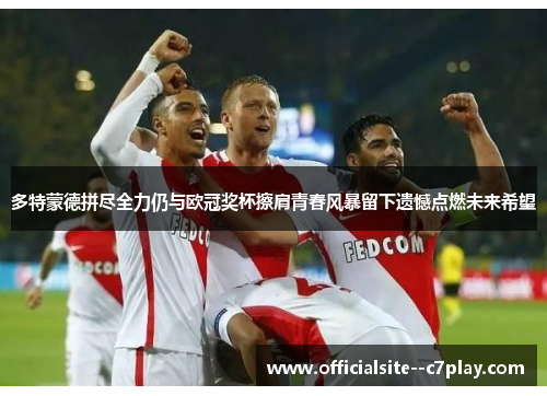 多特蒙德拼尽全力仍与欧冠奖杯擦肩青春风暴留下遗憾点燃未来希望