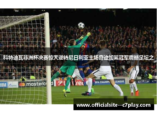 科特迪瓦非洲杯决赛惊天逆转尼日利亚主场奇迹加冕冠军震撼足坛之