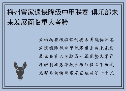 梅州客家遗憾降级中甲联赛 俱乐部未来发展面临重大考验